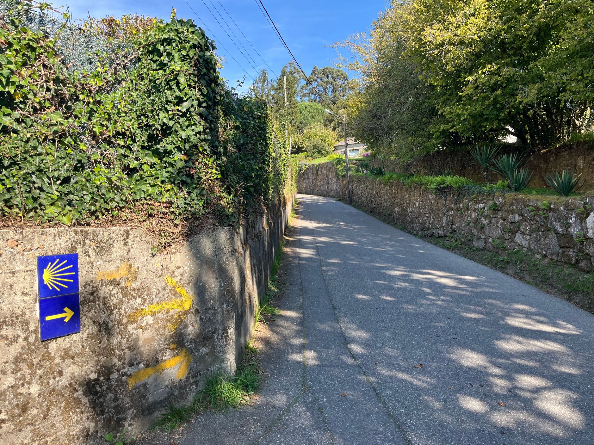 Camino-path.jpg
