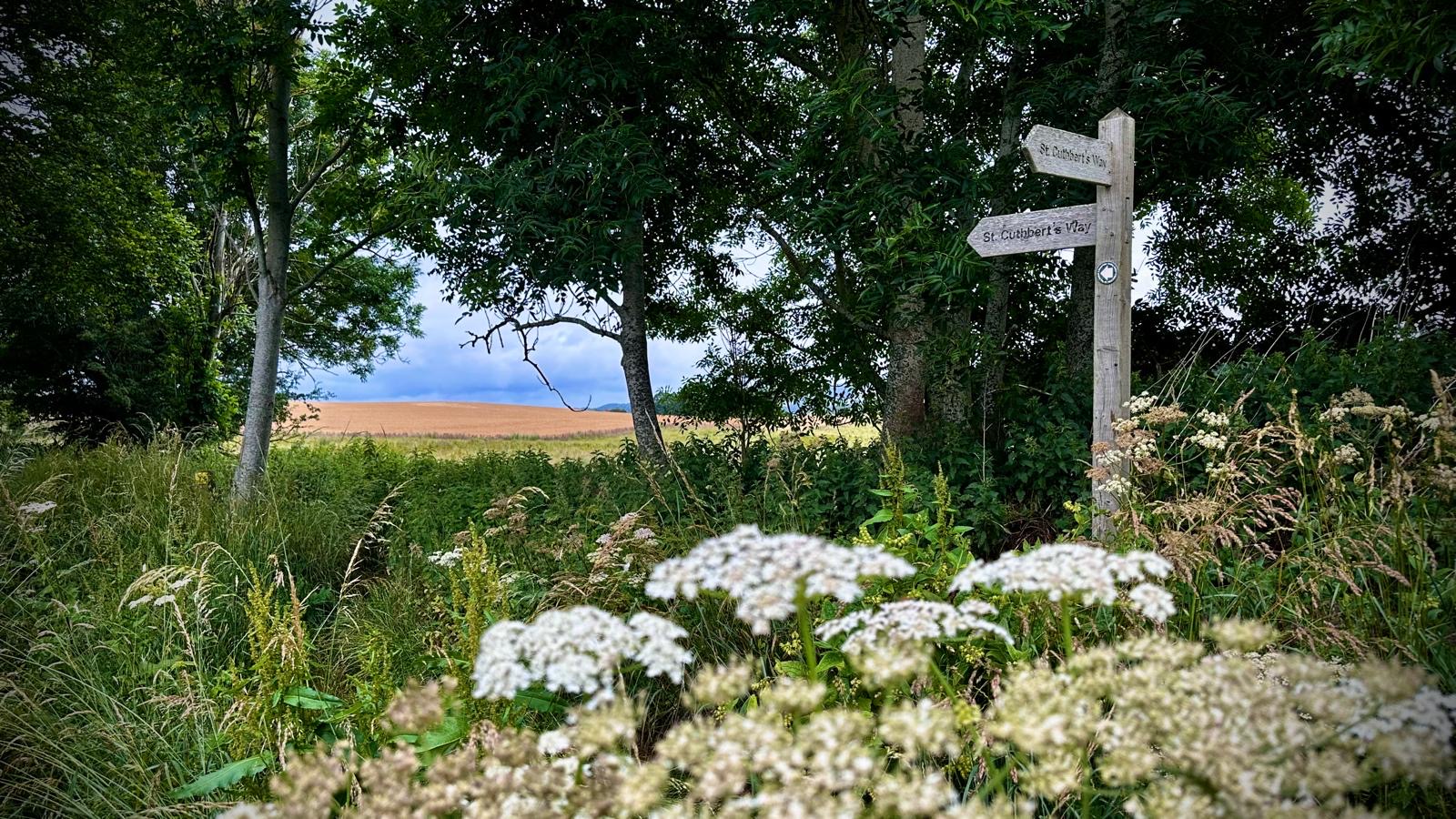 CuthbertsWaySign.JPG